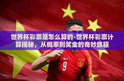 世界杯彩票是怎么算的-世界杯彩票计算揭秘，从概率到奖金的奇妙旅程