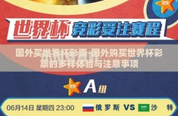 国外买世界杯彩票-国外购买世界杯彩票的多样体验与注意事项