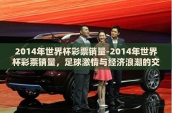 2014年世界杯彩票销量-2014年世界杯彩票销量，足球激情与经济浪潮的交汇
