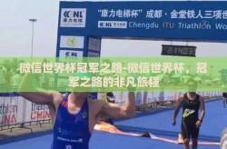 微信世界杯冠军之路-微信世界杯，冠军之路的非凡旅程