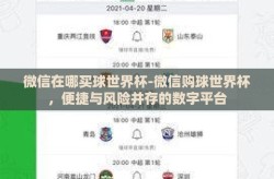 微信在哪买球世界杯-微信购球世界杯，便捷与风险并存的数字平台