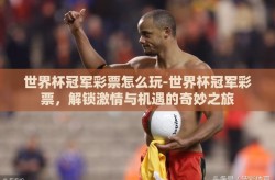 世界杯冠军彩票怎么玩-世界杯冠军彩票，解锁激情与机遇的奇妙之旅