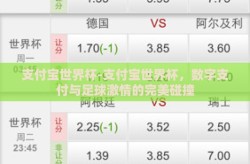 支付宝世界杯-支付宝世界杯，数字支付与足球激情的完美碰撞