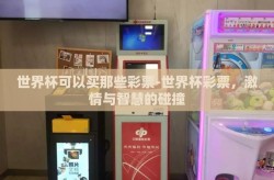 世界杯可以买那些彩票-世界杯彩票，激情与智慧的碰撞