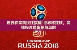 世界杯竞猜投注买球-世界杯狂欢，竞猜投注的乐趣与风险