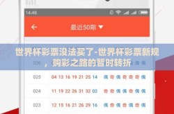 世界杯彩票没法买了-世界杯彩票新规，购彩之路的暂时转折
