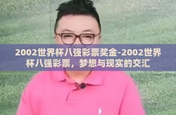 2002世界杯八强彩票奖金-2002世界杯八强彩票，梦想与现实的交汇