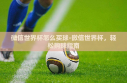 微信世界杯怎么买球-微信世界杯，轻松购球指南