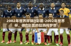2002年世界杯体∏彩票-2002年世界杯，体∏彩票的狂热与梦想