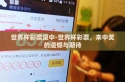 世界杯彩票没中-世界杯彩票，未中奖的遗憾与期待