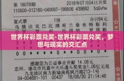 世界杯彩票兑奖-世界杯彩票兑奖，梦想与现实的交汇点