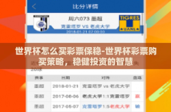 世界杯怎么买彩票保稳-世界杯彩票购买策略，稳健投资的智慧