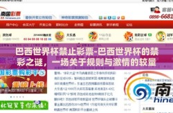 巴西世界杯禁止彩票-巴西世界杯的禁彩之谜，一场关于规则与激情的较量