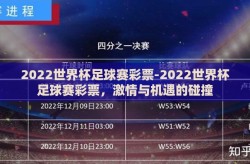 2022世界杯足球赛彩票-2022世界杯足球赛彩票，激情与机遇的碰撞