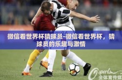 微信看世界杯猜球员-微信看世界杯,猜球员的乐趣与激情
