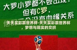 天天买彩票世界杯-天天买彩票世界杯，梦想与现实的交织