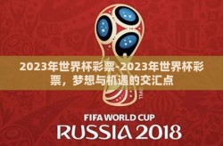 2023年世界杯彩票-2023年世界杯彩票，梦想与机遇的交汇点
