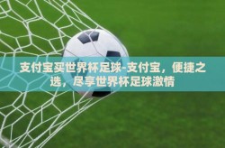 支付宝买世界杯足球-支付宝，便捷之选，尽享世界杯足球激情