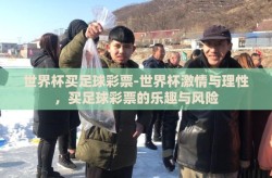 世界杯买足球彩票-世界杯激情与理性，买足球彩票的乐趣与风险