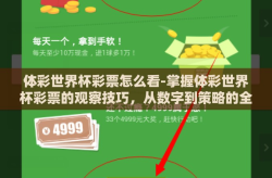体彩世界杯彩票怎么看-掌握体彩世界杯彩票的观察技巧，从数字到策略的全面解析