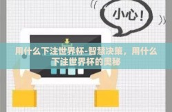 用什么下注世界杯-智慧决策，用什么下注世界杯的奥秘
