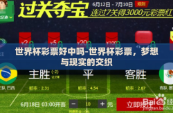 世界杯彩票好中吗-世界杯彩票，梦想与现实的交织