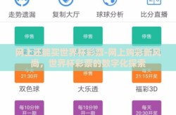 网上还能买世界杯彩票-网上购彩新风尚，世界杯彩票的数字化探索