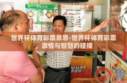世界杯体育彩票意思-世界杯体育彩票，激情与智慧的碰撞