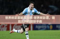 世界杯彩票输赢比例-世界杯彩票，输赢比例的微妙平衡