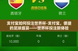 支付宝如何投注世界杯-支付宝，便捷的足球盛宴——世界杯投注新体验