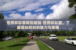 世界杯彩票规则追加-世界杯彩票，了解追加规则的魅力与策略