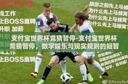 支付宝世界杯竞猜暂停-支付宝世界杯竞猜暂停，数字娱乐与现实规则的短暂交集