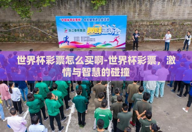 世界杯彩票怎么买啊-世界杯彩票，激情与智慧的碰撞