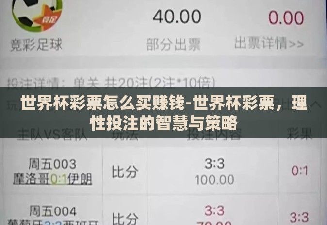 世界杯彩票怎么买赚钱-世界杯彩票,理性投注的智慧与策略 世界杯彩票怎么买赚钱-世界杯彩票,理性投注的智慧与策略