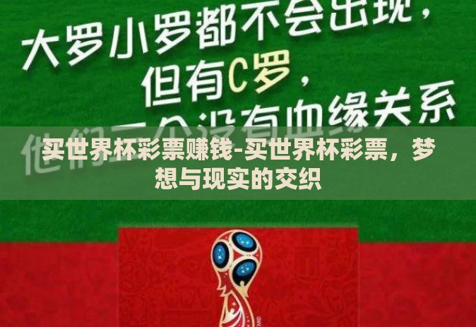 买世界杯彩票赚钱-买世界杯彩票，梦想与现实的交织