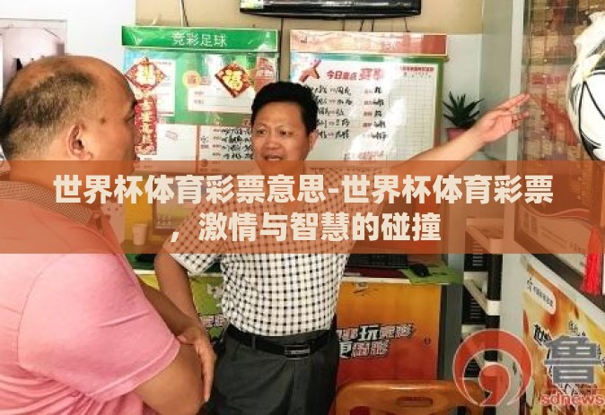 世界杯体育彩票意思-世界杯体育彩票，激情与智慧的碰撞