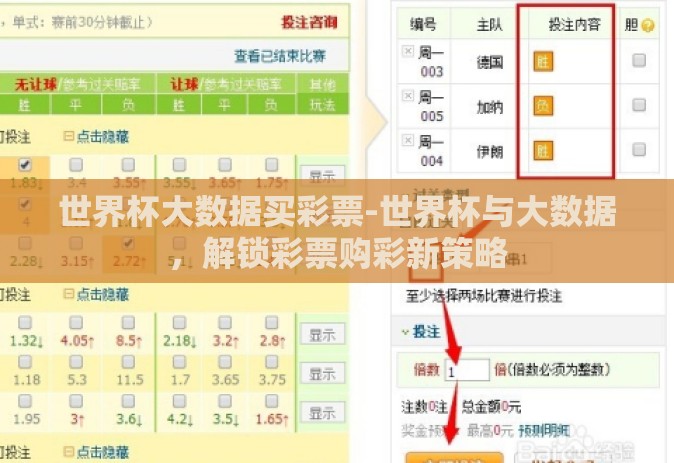 世界杯大数据买彩票-世界杯与大数据，解锁彩票购彩新策略