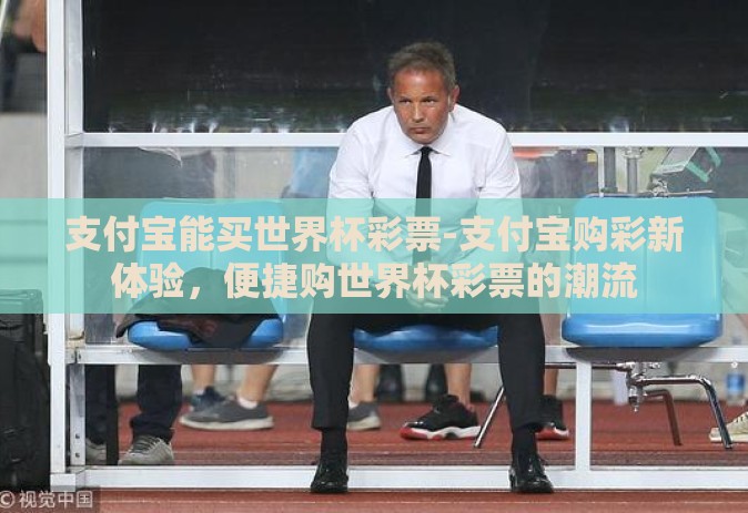 支付宝能买世界杯彩票-支付宝购彩新体验，便捷购世界杯彩票的潮流
