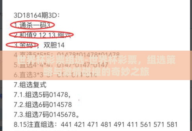 世界杯彩票组选-世界杯彩票，组选策略与激情碰撞的奇妙之旅