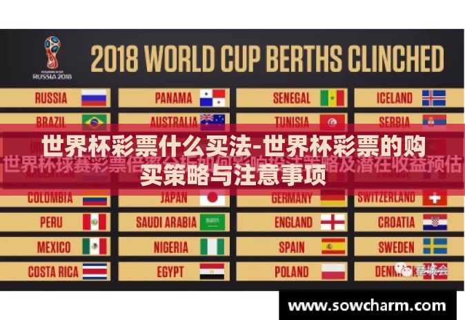 世界杯彩票什么买法-世界杯彩票的购买策略与注意事项