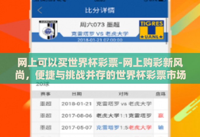 网上可以买世界杯彩票-网上购彩新风尚，便捷与挑战并存的世界杯彩票市场
