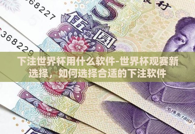 下注世界杯用什么软件-世界杯观赛新选择，如何选择合适的下注软件