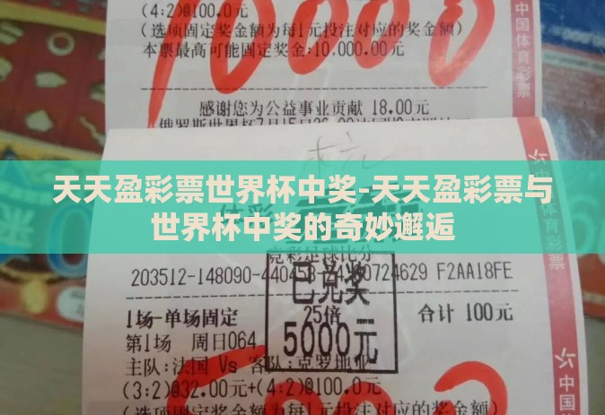 天天盈彩票世界杯中奖-天天盈彩票与世界杯中奖的奇妙邂逅