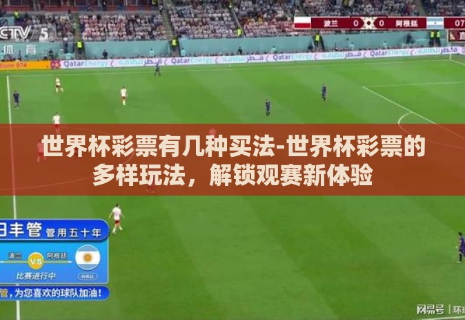 世界杯彩票有几种买法-世界杯彩票的多样玩法,解锁观赛新体验 世界杯彩票有几种买法-世界杯彩票的多样玩法,解锁观赛新体验
