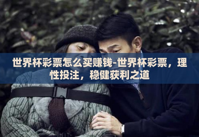 世界杯彩票怎么买赚钱-世界杯彩票,理性投注,稳健获利之道 世界杯彩票怎么买赚钱-世界杯彩票,理性投注,稳健获利之道