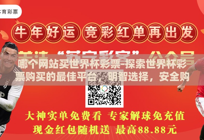 哪个网站买世界杯彩票-探索世界杯彩票购买的最佳平台，明智选择，安全购彩