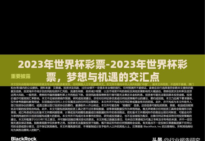 2023年世界杯彩票-2023年世界杯彩票，梦想与机遇的交汇点
