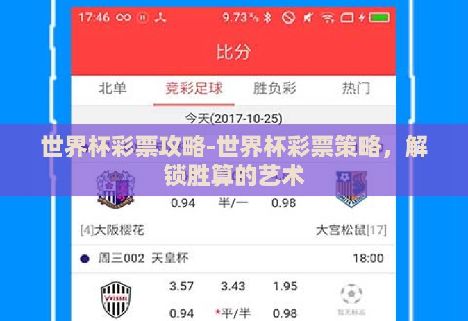 世界杯彩票攻略-世界杯彩票策略,解锁胜算的艺术 世界杯彩票攻略-世界杯彩票策略,解锁胜算的艺术