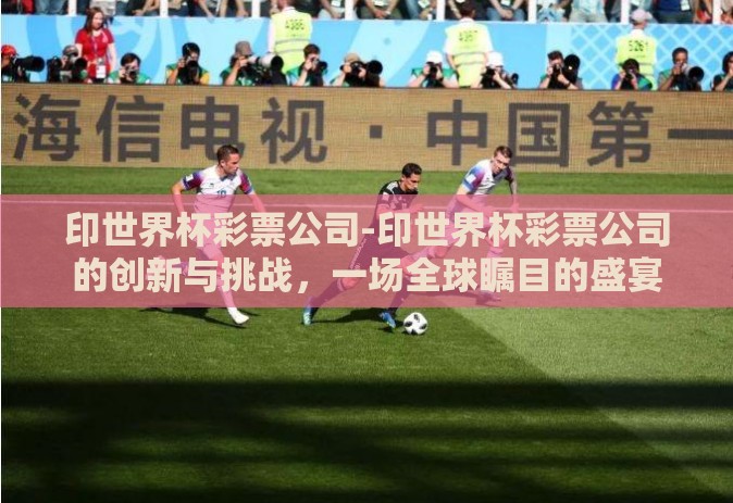 印世界杯彩票公司-印世界杯彩票公司的创新与挑战，一场全球瞩目的盛宴