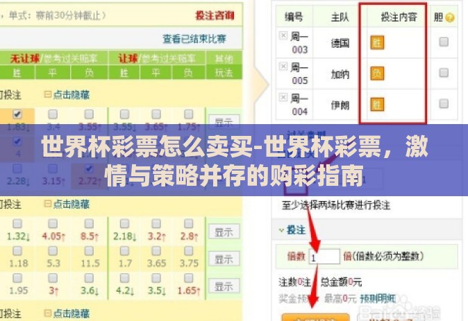 世界杯彩票怎么卖买-世界杯彩票,激情与策略并存的购彩指南 世界杯彩票怎么卖买-世界杯彩票,激情与策略并存的购彩指南